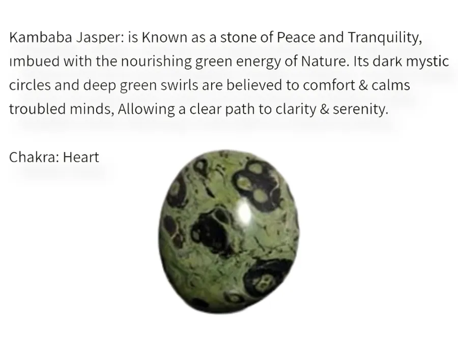Kambaba Jasper - Necklace